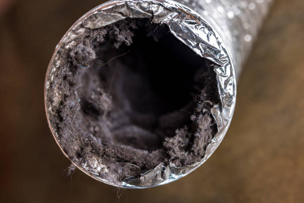 Reliable Tenino, WA Airduct Cleaning Solutions